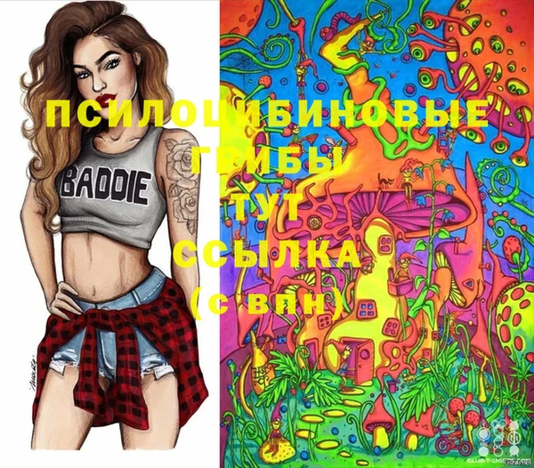 дурь Алексин