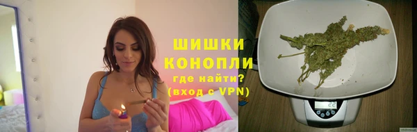 гидра Абаза