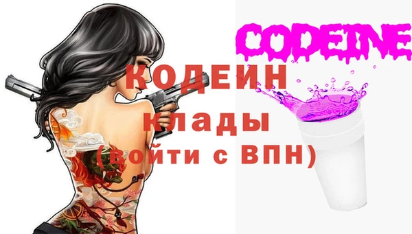 гидра Абаза